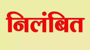 जमीन के खरीदी-बिक्री में अनियमितता बरतने पर पटवारी हुआ निलंबित