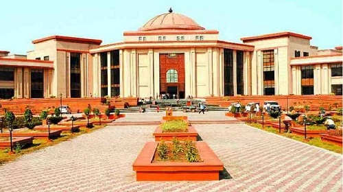 करंट से हाथियों की मौत पर हाईकोर्ट सख्त: सचिव-एमडी से शपथ पत्र के साथ मांगा जवाब