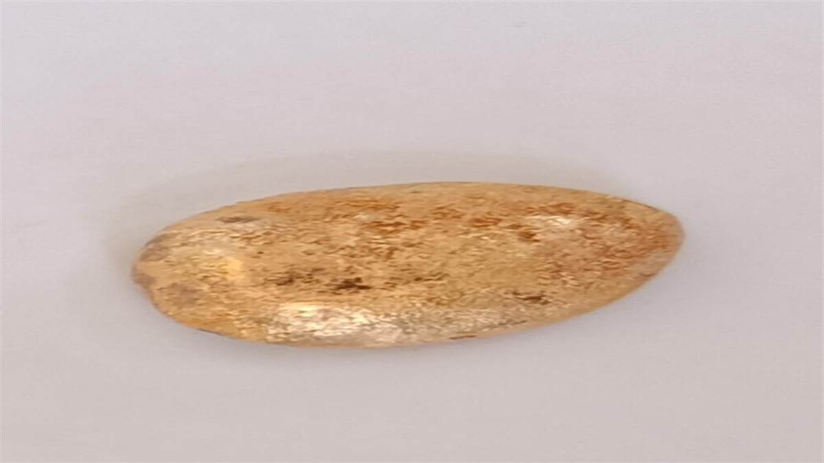 गले हुए सोने के साथ अंतरराज्यीय आरोपी गिरफ्तार